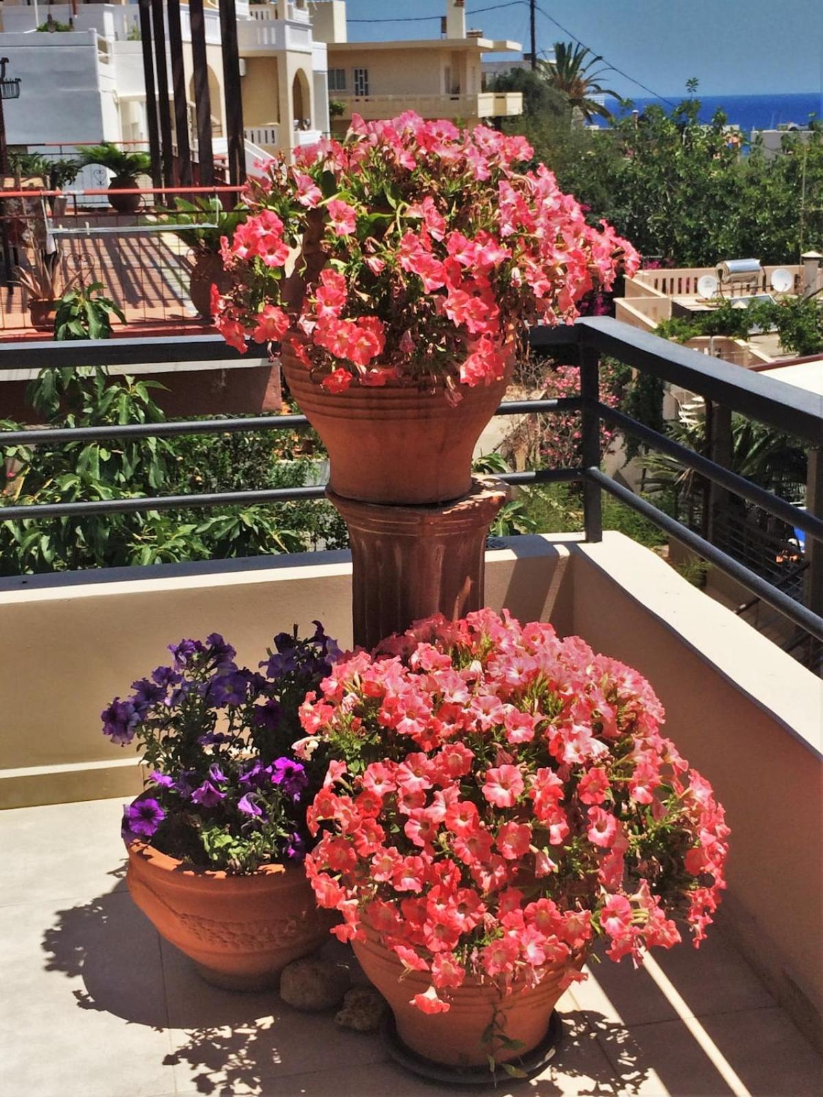 קאטו דרטסו Golden View Villa מראה חיצוני תמונה